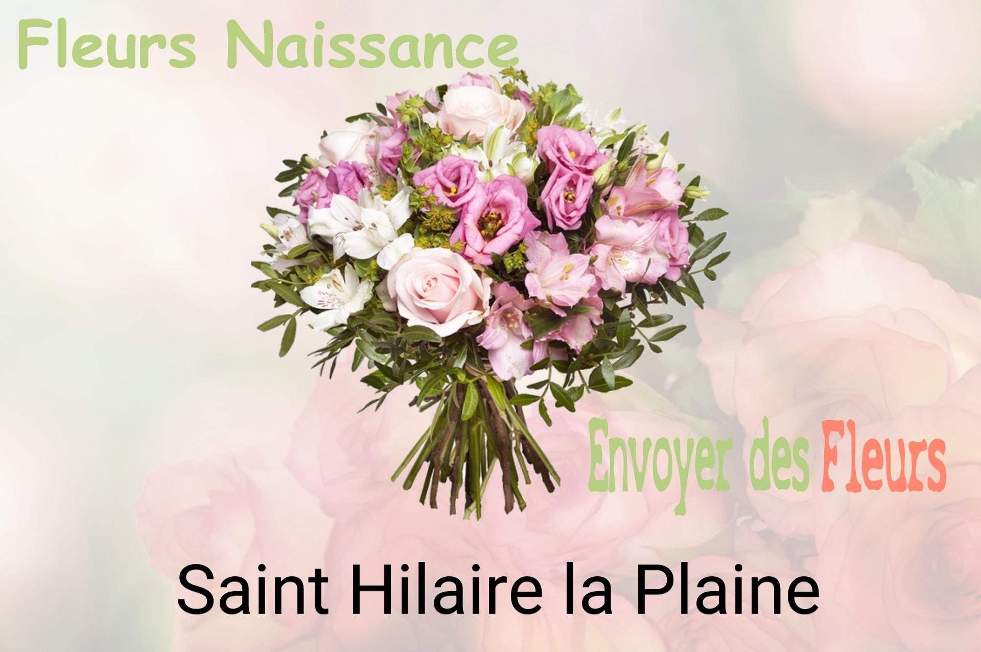 Bouquet de fleurs de naissance livré à Saint-Hilaire-la-Plaine
