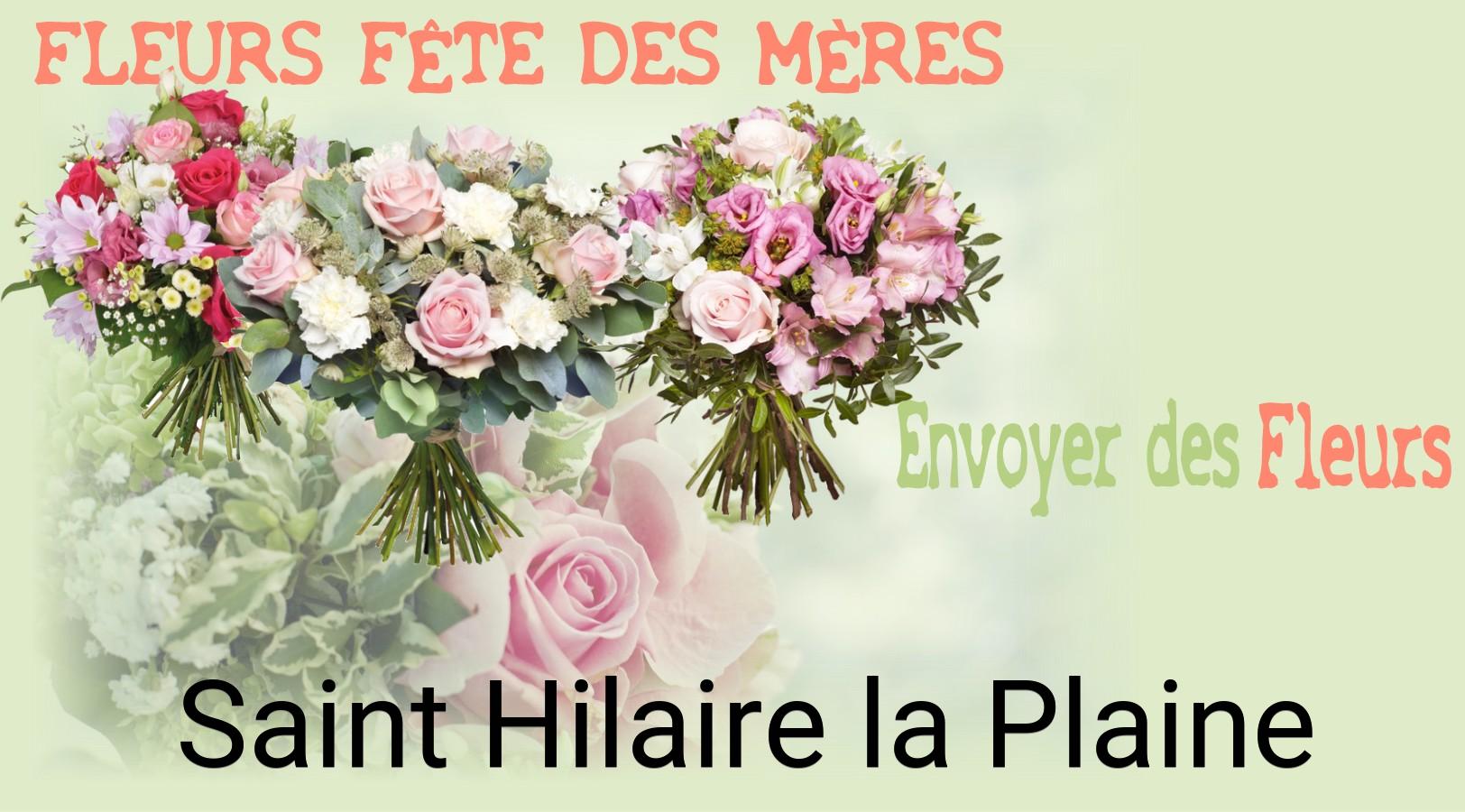 Bouquet de Fête des Mères livré à Saint-Hilaire-la-Plaine